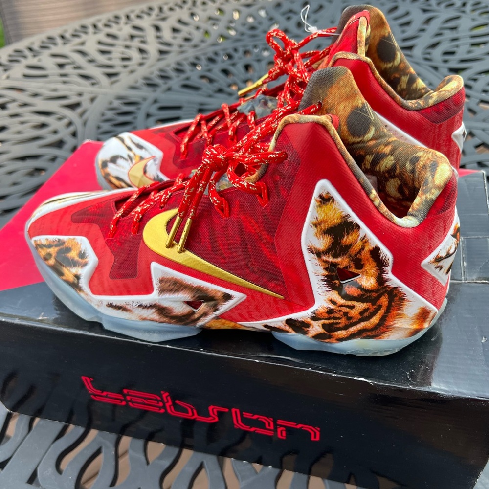 Nike Lebron 11 2k14 edition limited